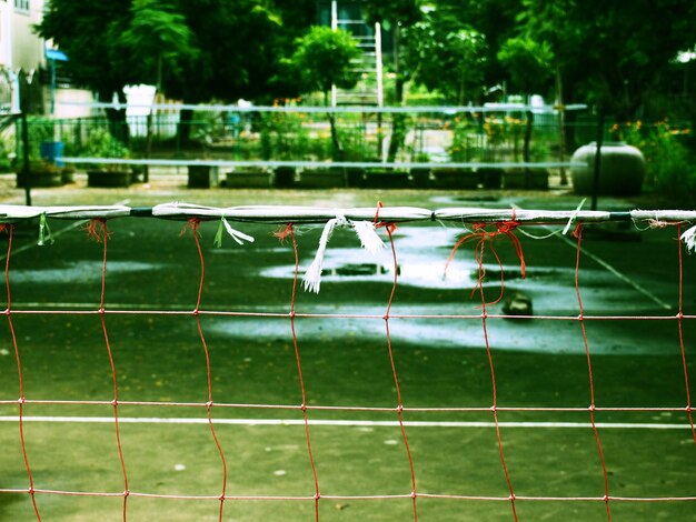 Foto rete su un campo erboso bagnato nel parco