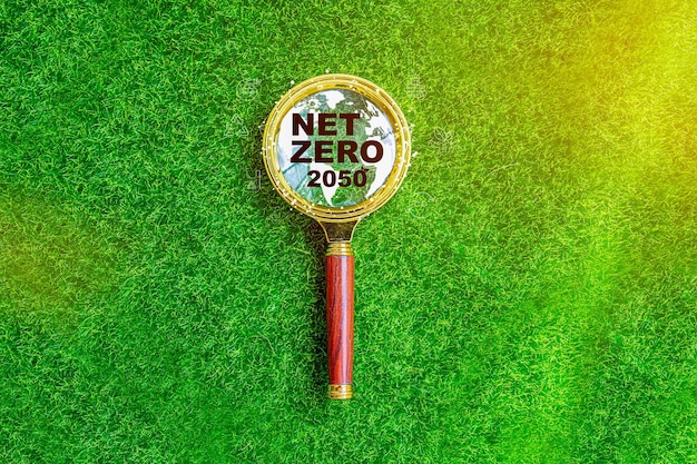 Net Zero and Carbon Neutral Concepts Net Zero