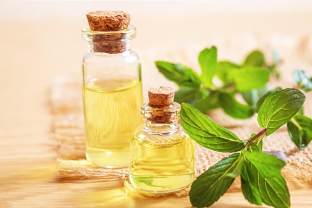 Nettle extract in a small jar Selective focusnature