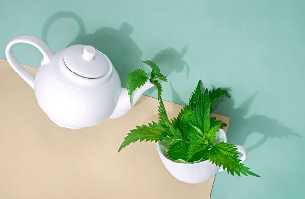 Nettle leaves and teapot on coloured background Herbal nettle tea