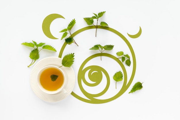 Чашка чая с крапивой, листья травы крапивы. Изысканная плоская зеленая бумага. Круги последовательности Фибоначчи на белом фоне. Концепция альтернативной медицины.