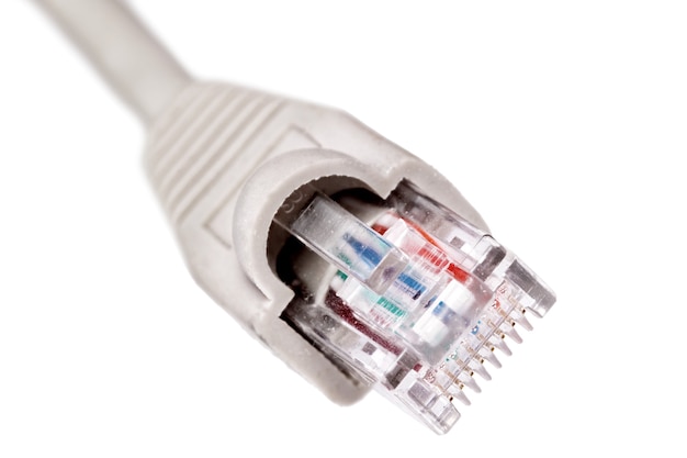 Network connection plug RJ-45. Macro. Isolated.