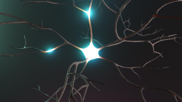 Neuron signaaloverdracht van lage naar hoge activiteit 3D weergegeven