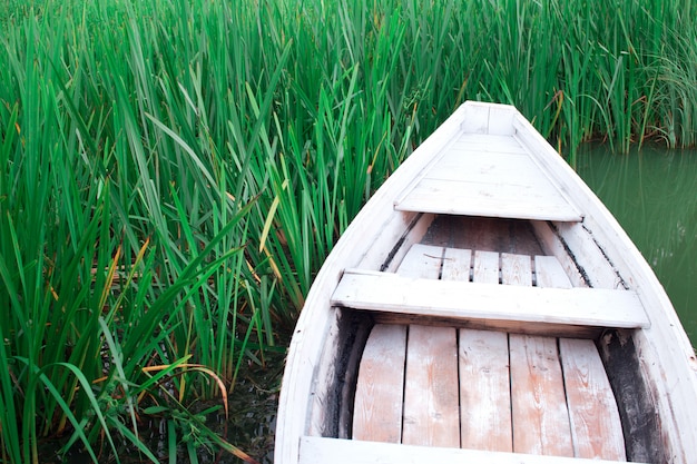 Neus van een witte boot in groen riet