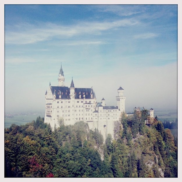 Photo neuschwanstein castle amongst trees against sky