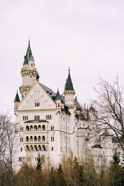 Neuschwanstein castle among the trees germany