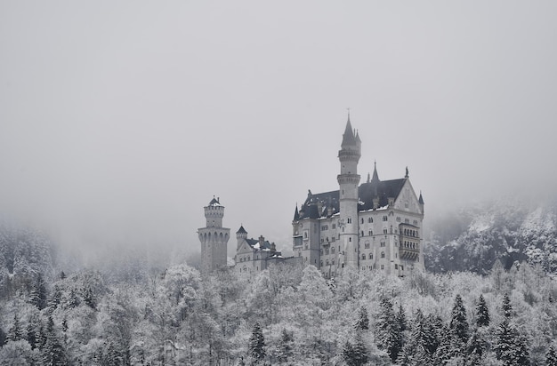 Photo neuschwanstein castle in winter, fussen, bavaria, germany, europe