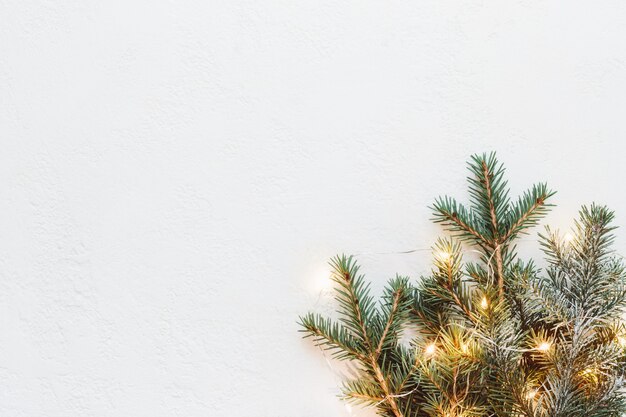 Neutral Christmas composition of fir branches and golden light garland.