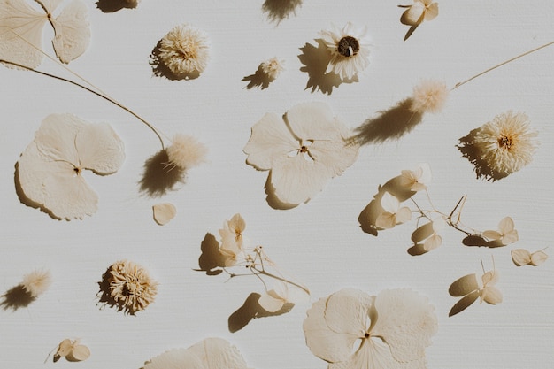 Photo neutral floral composition with dry flower petals and branches on grey