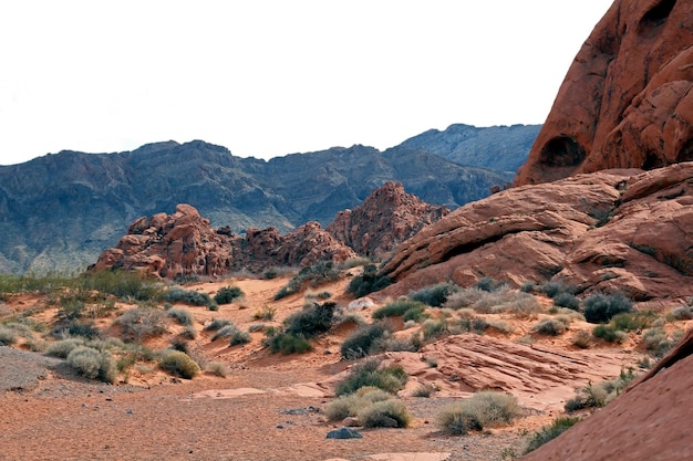 Nevada Desert diepe weergave zandsteen