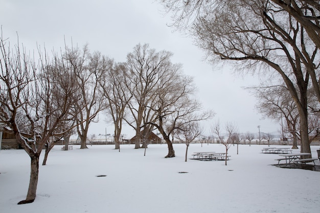 Nevada USA first snow in the park