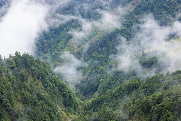 Nevel over de berg in Hehuanshan.