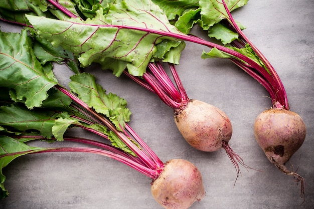 the new beet harvest. still life.