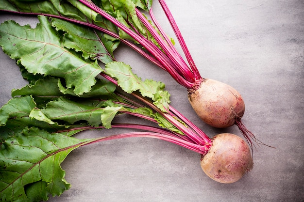 The new beet harvest. Still life.