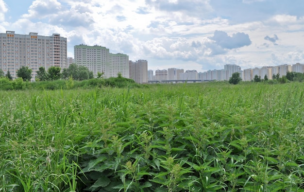 New buildings on the outskirts of Moscow