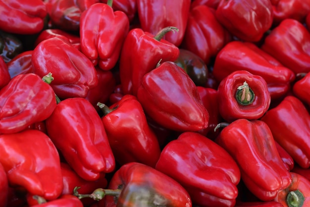 New crop of juicy red sweet peppers on market fresh vegetables and healthy food concept