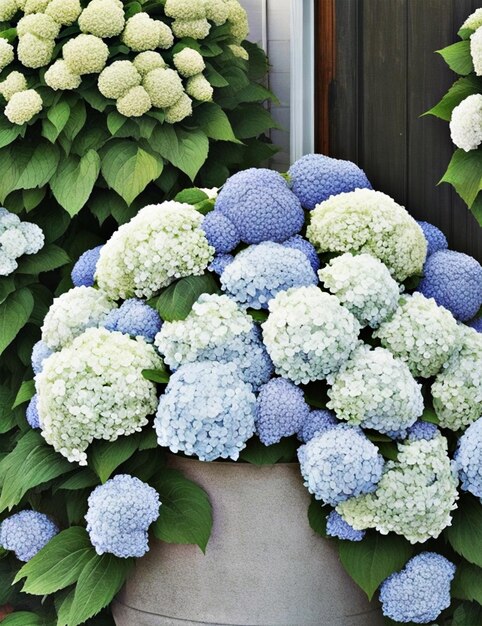 Foto uno sfondo in stile new england con ortensie