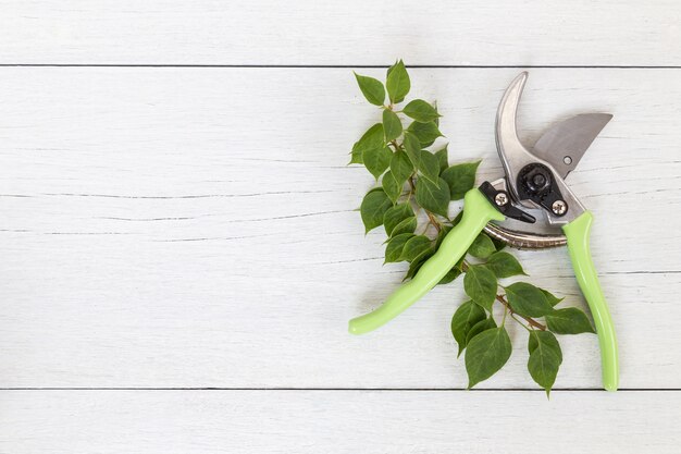 New green secateurs on white wooden background. Top view