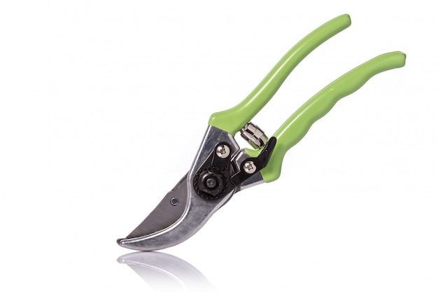 New green secateurs.