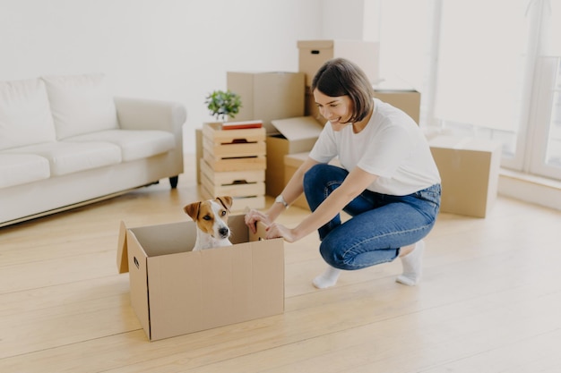New home moving day and relocation concept positive brunette\
woman plays with pedigree dog in carton container unpack boxes with\
belongings pose in spacious living room with comfortable sofa