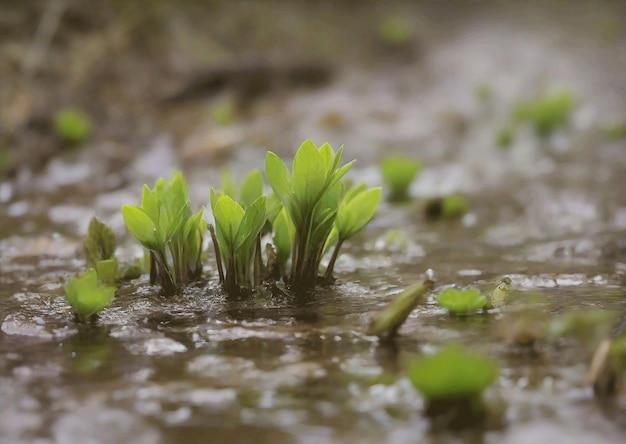 New life emerges in wet spring season Ai generated