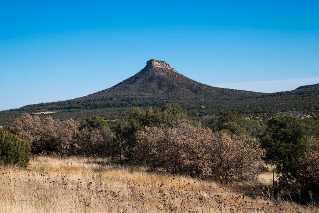 ニューメキシコの山の風景