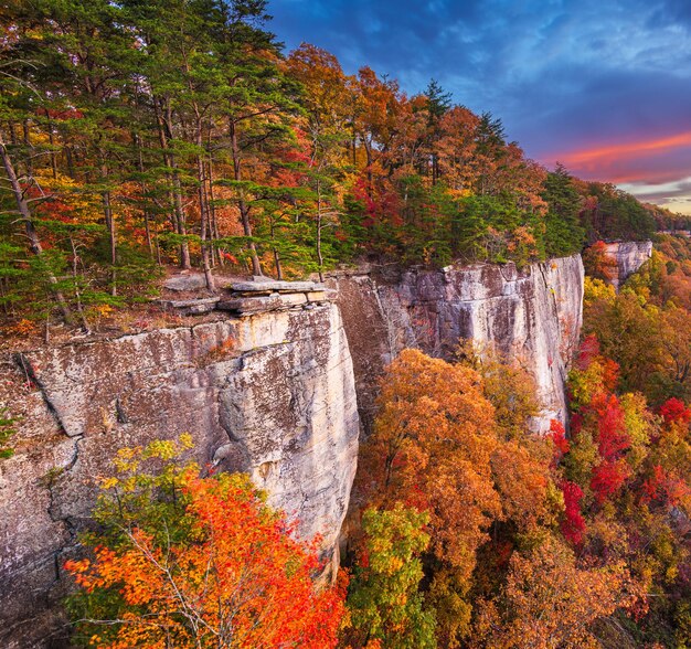 New River Gorge West Virginia USA