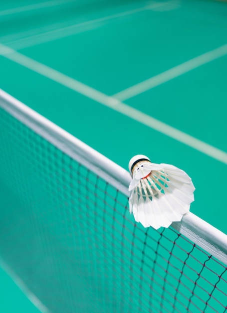 New shuttlecock on badminton net playing court