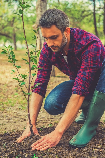 New tree in my garden. Serious young man planting the tree while working in the garden