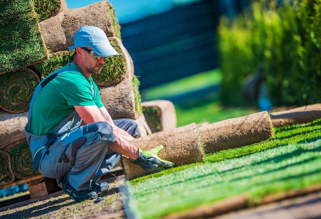 New Turf Grass Installation