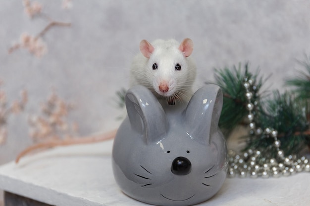 new year rat and artificial gray mouse