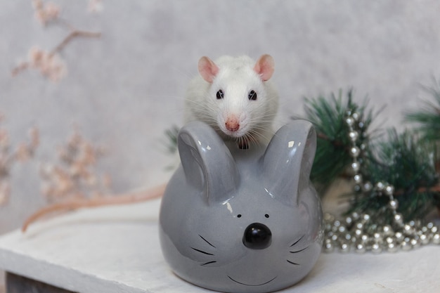 New Year rat and artificial gray mouse