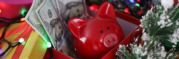 새해 상자에 붉은 돼지는 화환과 전나무 가지 옆에 달러가 있습니다.