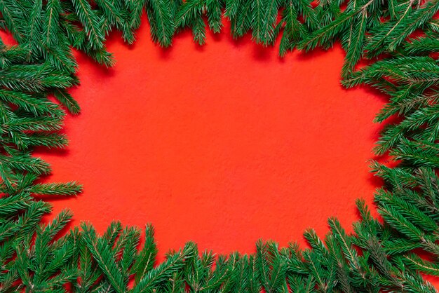 New Year's concept. Fir branches on a red background.