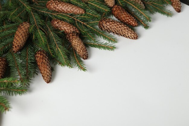 New Year's Eve background with fir branch and cones.