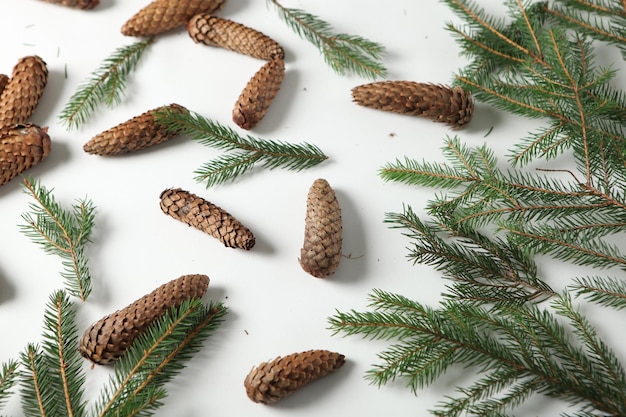 New Year's Eve background with fir branch and cones.