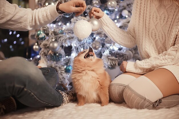 新年の写真の人々/クリスマスのインテリア、居心地の良い装飾された家の若い男と女