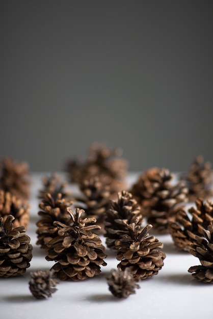 New Year's still life forest of pine cones on a whitegray background