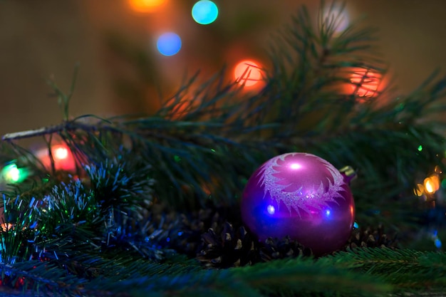 New Year's toy a ball for decorating a Christmas tree with pine branches in the background