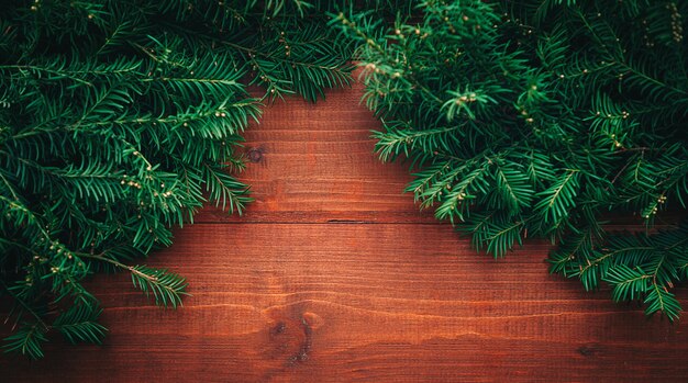 New Year's tree branches with wooden background