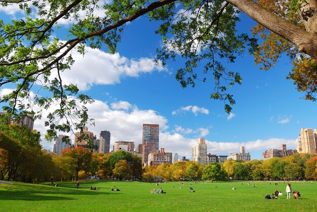 New York City Central Park With Cloud And Blue Sky