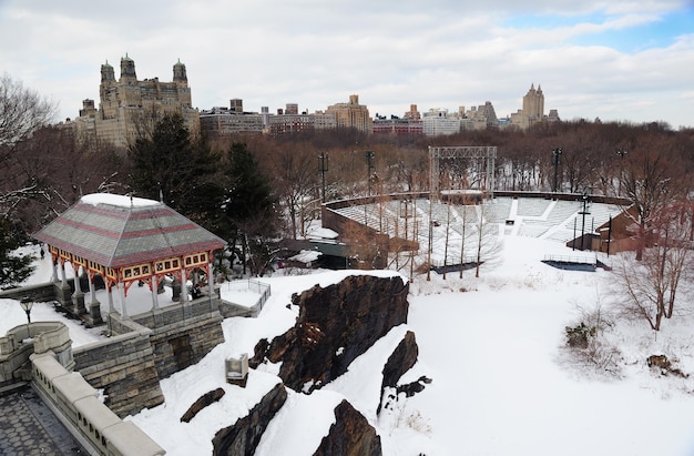 New York City Manhattan Central Park in de winter