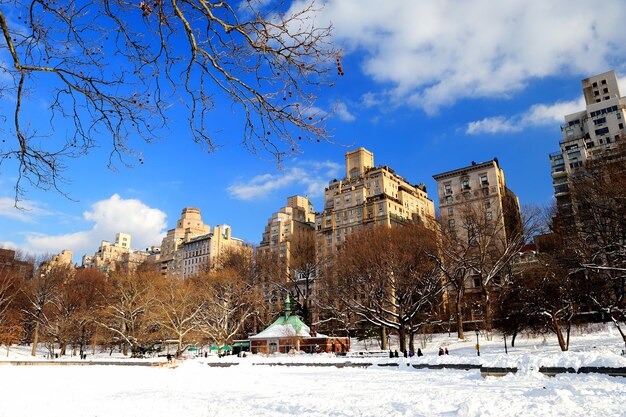 New York City Manhattan Central Park in de winter