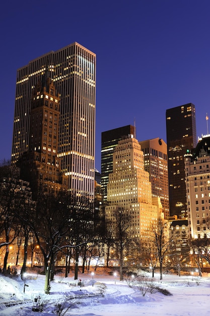 New York City Manhattan Central Park panorama in de winter