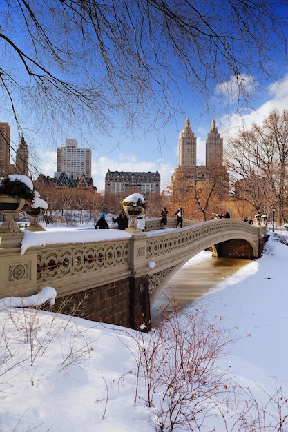 New York City Manhattan Central Park panorama in de winter