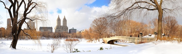 New York City Manhattan Central Park panorama in winter