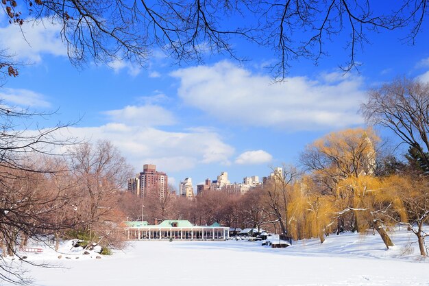 New York City Manhattan Central Park panorama