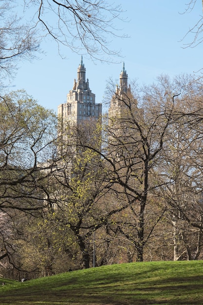 写真 ニューヨーク 米国 2023年4月13日 マンハッタンのセントラルパークの春の景色