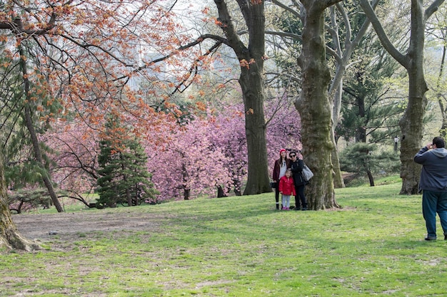 Photo new york usa april 20 2017 people in central park on sunny day