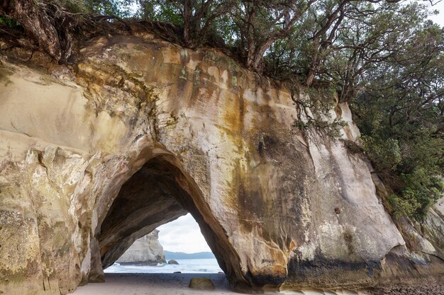 New Zealand coast